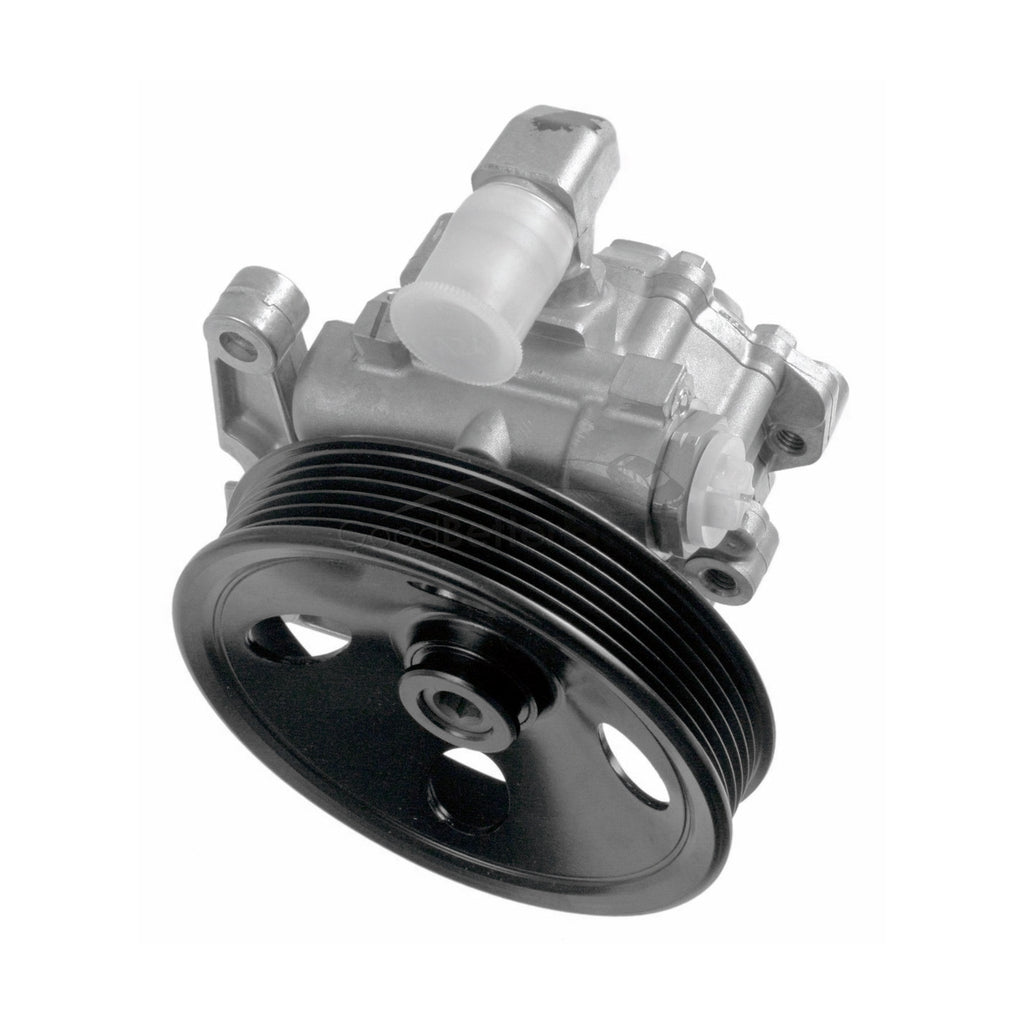 Mercedes-Benz Direksiyon Pompası A0024669701 A0024669801