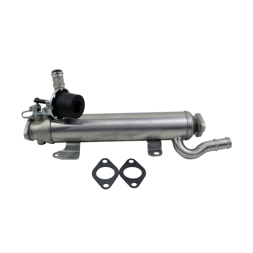 Volkswagen Passat EGR Valfi & Soğutucu 03L131512B