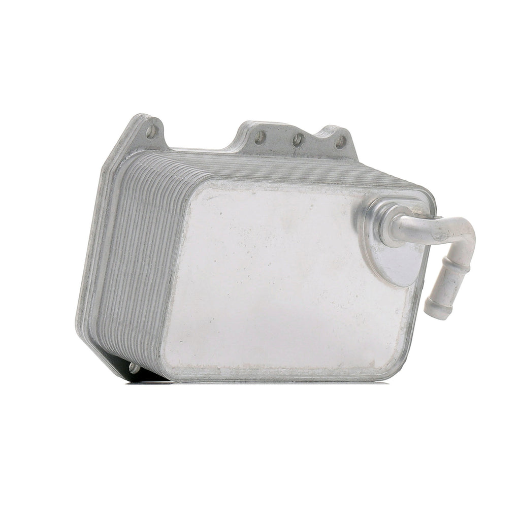 Audi A4 A5 A6 A7 A8 Q5 Q7 Q8 Volkswagen Amarok Touareg Yağ Soğutucu & Contası 059117015K
