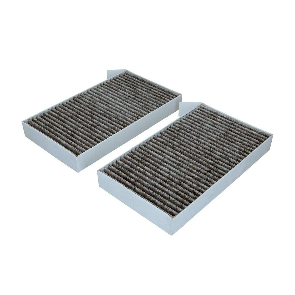 TESLA Polen Filtresi 110768100A