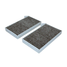 TESLA Polen Filtresi 110768100A