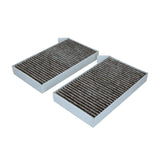 TESLA Polen Filtresi 110768100A