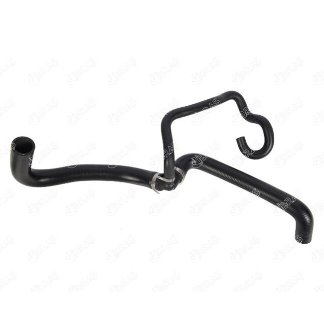 Ford Fiesta Radyatör Çıkış Hortumu 8V218B273CE 1706842 8V218B273CA 1514162 8V218B273CB 1519834 8V218B273CC 1535222 8V218B273CD 1673757