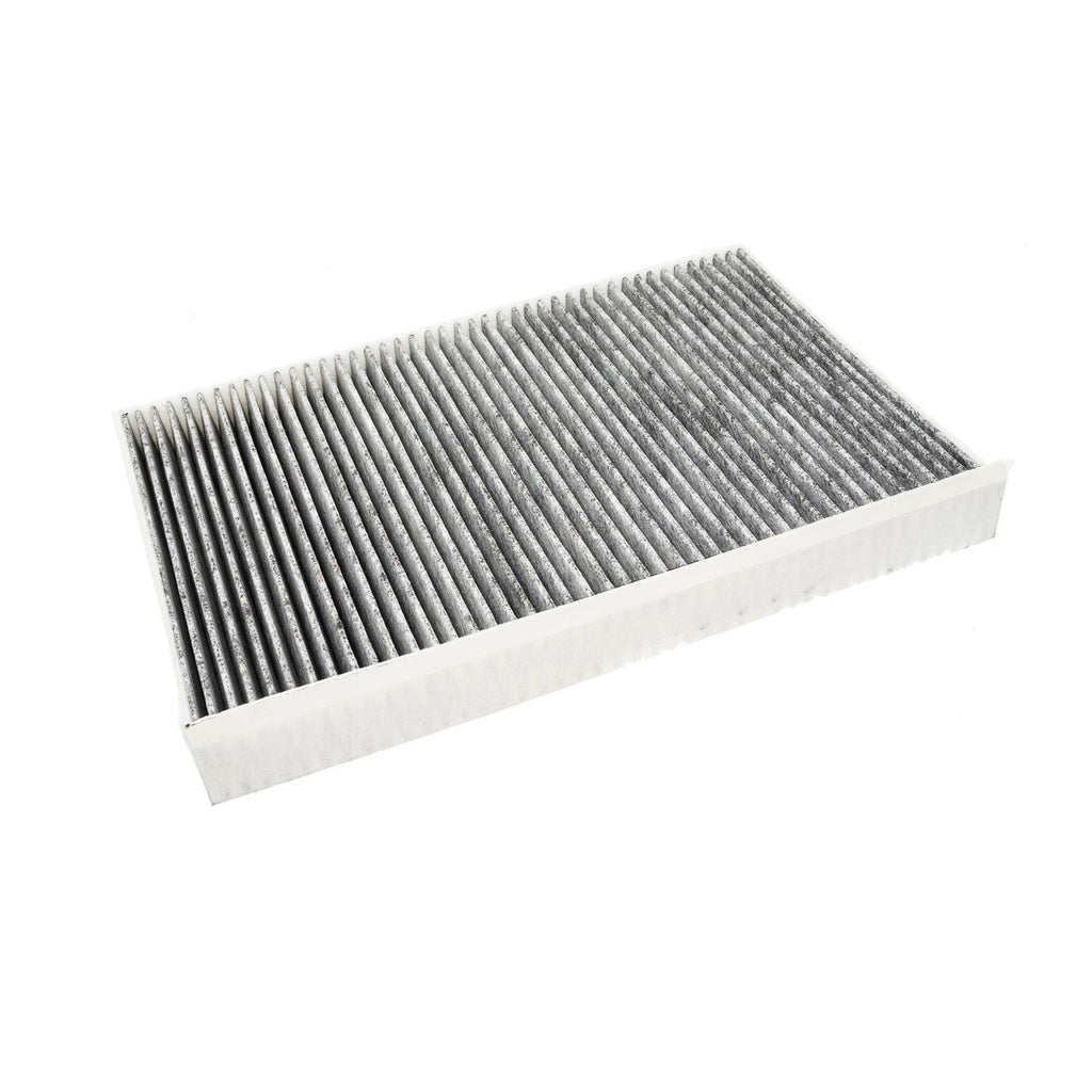 Volkswagen Crafter Polen Filtresi TWP Germany 2E0819638