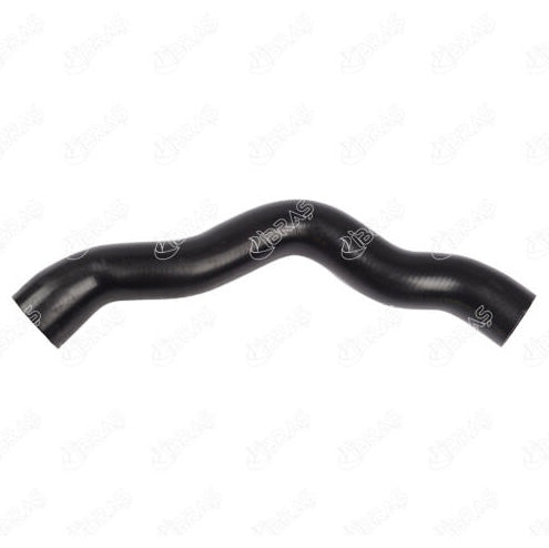 Mercedes-Benz W202 C-Serisi W210 E-Serisi Radyatör Giriş Hortumu 2025012482