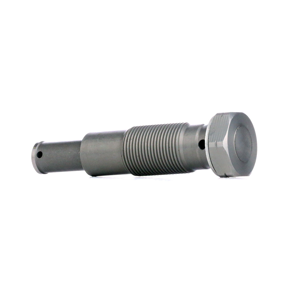 Mercedes-Benz Zincir Gergi Otomatiği A6510500800
