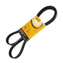 Görseli Galeri görüntüleyiciye yükleyin, Continental 6PK1538 CONTITECH Kanallı V Kayışı